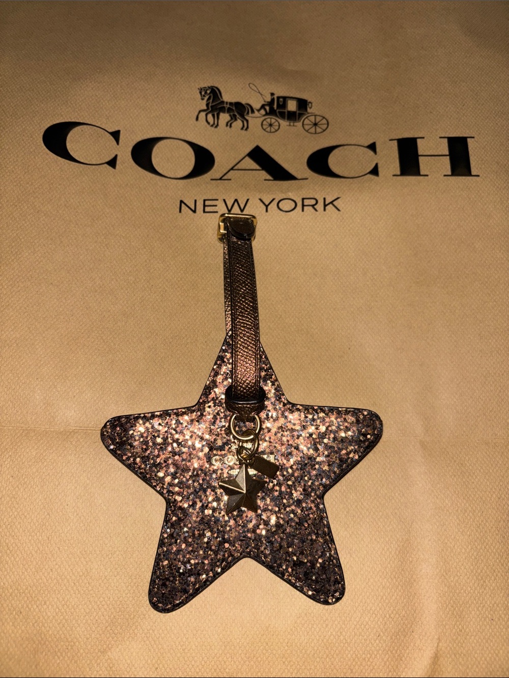 Coach Glitter Star Bag Charm in Dark Brownish Rose